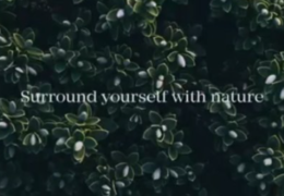 Indulge with nature and its beautiful scenery, Cleo Residences by <a href=