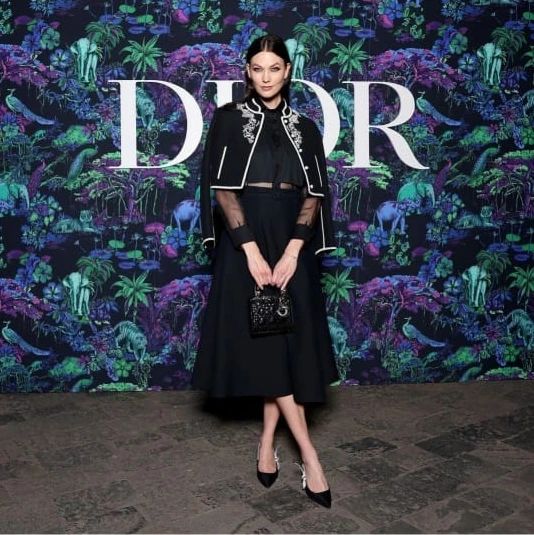 Dior Fall 2023 collection by Maria Grazia Chiuri was presented in Mumbai yesterday evening 