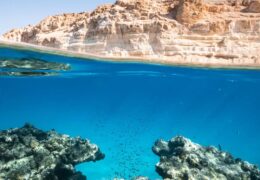 This project is in collaboration with KAUST University.