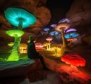 The canyons of AlUla in Saudi are glowing with colorful illuminated mushrooms that are giving us the Vibes of Alice in Wonderland!