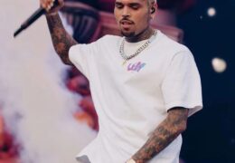 Chris Brown, a US R&B artist, will take the stage at the 2023 Formula One Grand Prix in Abu Dhabi.