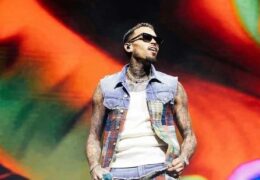 At his first performance in Abu Dhabi on Friday at Etihad Park, R&B singer Chris Brown dazzled the crowd.