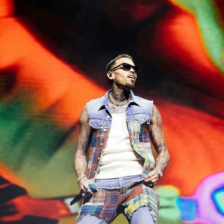 At his first performance in Abu Dhabi on Friday at Etihad Park, R&B singer Chris Brown dazzled the crowd.